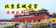 学生包臀裙搞鸡视频中国北京-东城古宫旅游风景区